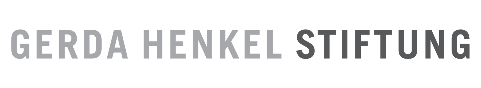 gera henkel stiftung